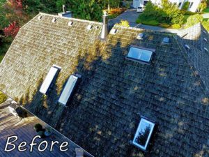 Puyallup-Before-Roofing-Project-Anytime-Roofing-3
