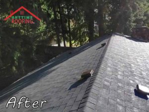 Seattle-living-roof-After-Roofing-Project-Anytime-Roofing-1