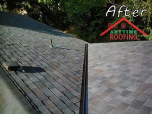 Seattle-living-roof-After-Roofing-Project-Anytime-Roofing-2B