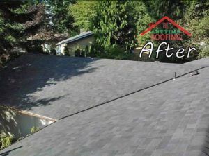 Seattle-living-roof-After-Roofing-Project-Anytime-Roofing-3