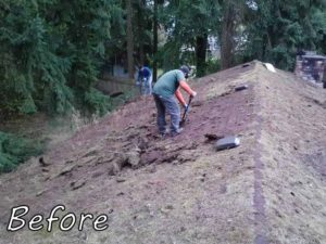 Seattle-living-roof-Before-Roofing-Project-Anytime-Roofing-1