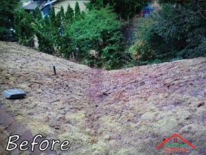 Seattle-living-roof-Before-Roofing-Project-Anytime-Roofing-2C