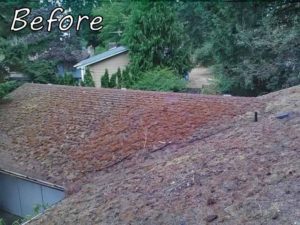 Seattle-living-roof-Before-Roofing-Project-Anytime-Roofing-3