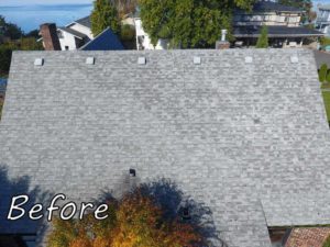 Steilacoom-Before-Roofing-Project-Anytime-Roofing-4