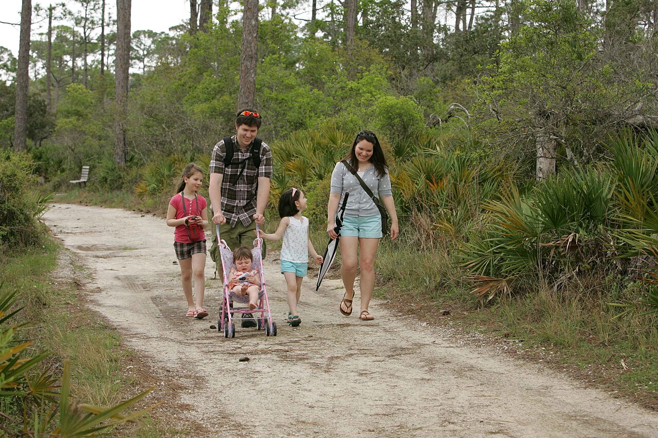 Family enjoying a sunny picnic at a local public park, representing the welcoming and family-friendly vibe of Allan Yorke Park