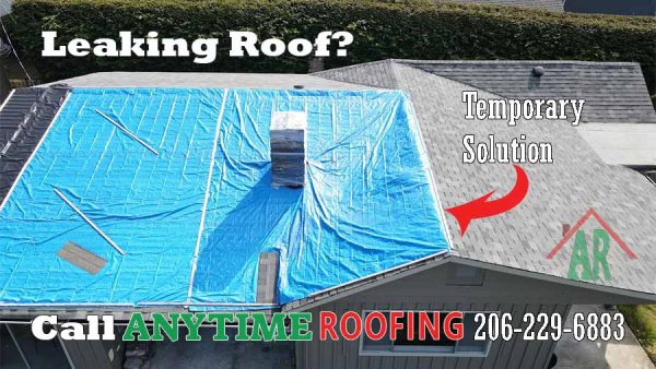 Roof-Leak-Temporary-Solution-