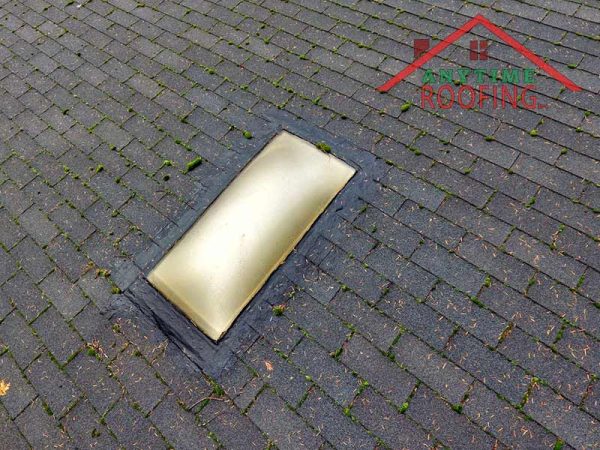 Treating patches of moss on roof in Washington